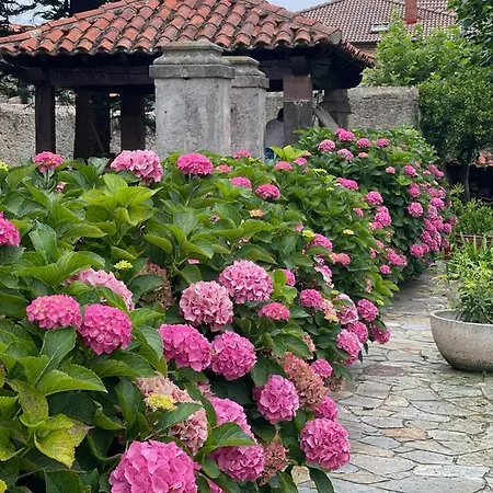 La Solana De Mogro Villa Exterior photo