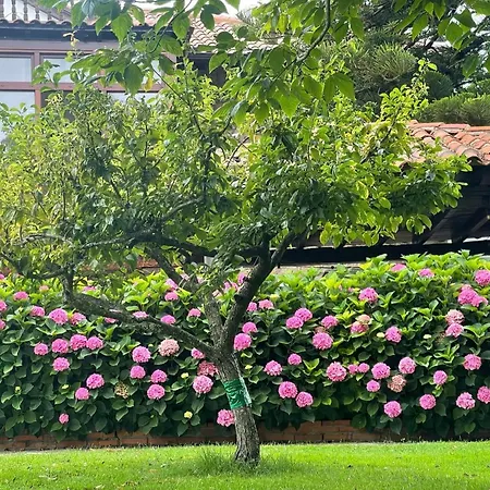 La Solana De Mogro Villa Exterior photo