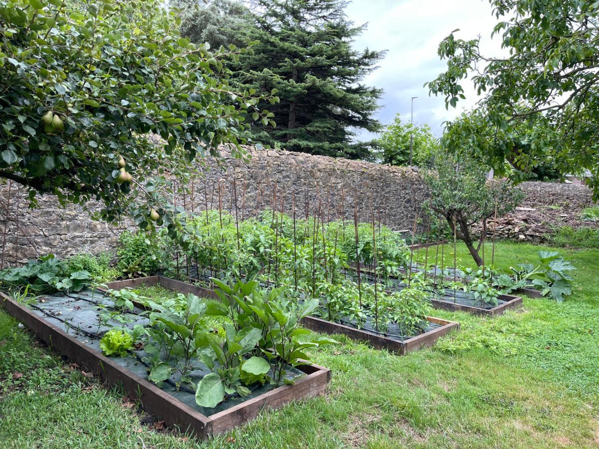 La Solana De Villa Mogro